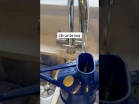 What are mindful practices? What are mindful practices?