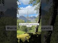 Dont Let Fear Get iIn The Way Of Your Dream, Goal Or Ambition Dont Let Fear Get iIn The Way Of Your Dream, Goal Or Ambition