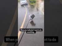 Daily Habits & Goal Attainment Daily Habits & Goal Attainment