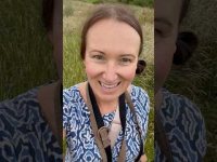 Tip 19: Walk Tip 19: Walk